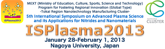 ISPlasma2013
