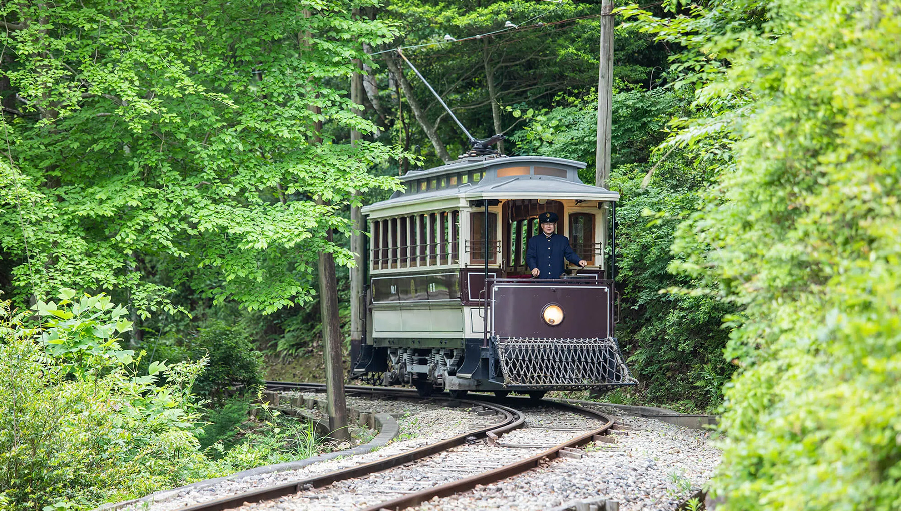 Meiji Mura